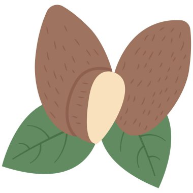 Badem taneleri elementi. Vejetaryen temalı vektör unsuru. Görüntü.