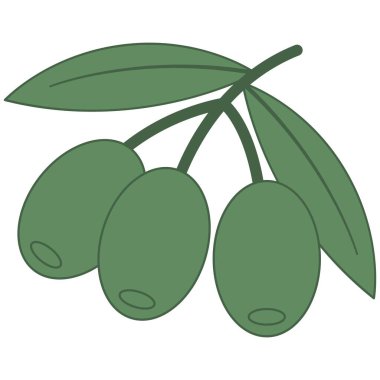 Düz zeytin. Vejetaryen temalı vektör unsuru. Görüntü.