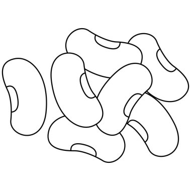 Fasulye koleksiyonu. Vejetaryen temalı vektör unsuru. Görüntü.