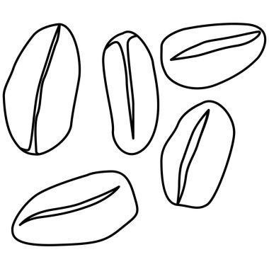 Yulaf çizgisi sanatı. Vejetaryen temalı vektör unsuru. Görüntü.