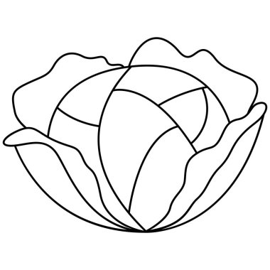 Lahana çizgisi sanatı. Vejetaryen temalı vektör unsuru. Görüntü.