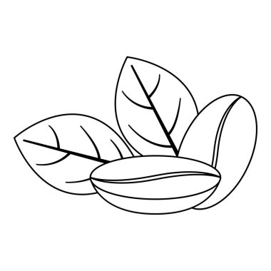 Kahve çekirdekleri çizgisi. Kahve temalı vektör illüstrasyonuName.