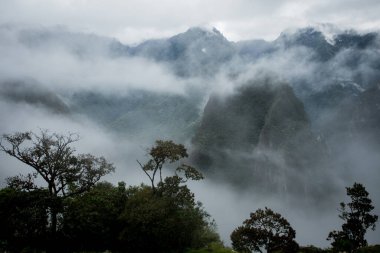 Machu Picchu 'nun sisli ve ön planda yaprakları olan yatay görüntüsü