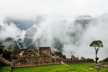 Machu Picchu 'daki antik harabelerin ve tarım teraslarının manzarası 