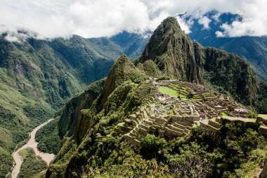 Machu Picchu 'nun sisli ve ön planda yaprakları olan yatay görüntüsü