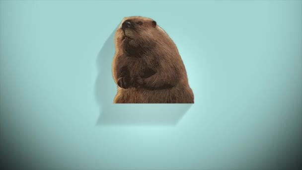 Щасливий День Анімації Groundhog Відео Логотипом Текстом Логотип Використовує Ефект — стокове відео