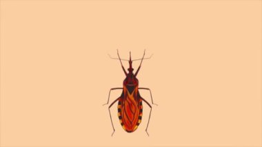 Dünya Chagas Hastalıkları Günü ile ilgili hareket bulanıklığı efektli animasyon videosu