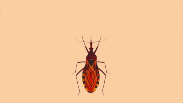 Vídeo Animação Sobre Dia Mundial Doença Chagas Com Efeito Borrão — Vídeo de Stock