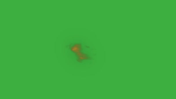 Animation Video Real Fire Element Green Screen Background — Stock Video