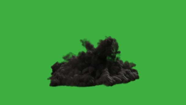 Vídeo Animación Elemento Explosión Fuego Real Fondo Pantalla Verde — Vídeos de Stock