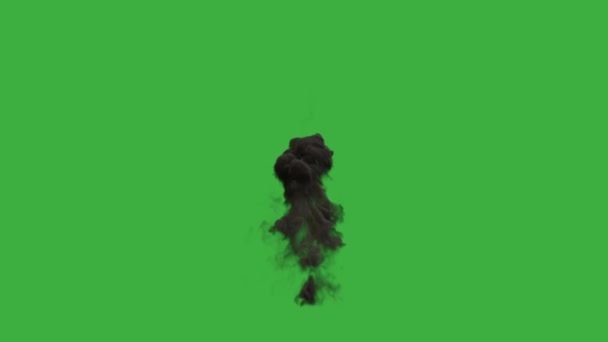 Animacja Wideo Prawdziwy Element Wybuchu Ognia Zielonym Tle Ekranu — Wideo stockowe