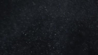 Parıldayan parçacıklar, bokeh parlak parçacıklar siyah arkaplan üzerinde döngü animasyonu. Bu videoyu görüntülerinize ekleyebilirsiniz .