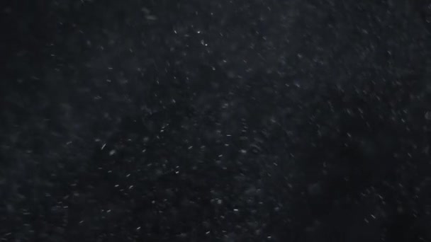 Parıldayan Parçacıklar Bokeh Parlak Parçacıklar Siyah Arkaplan Üzerinde Döngü Animasyonu — Stok video