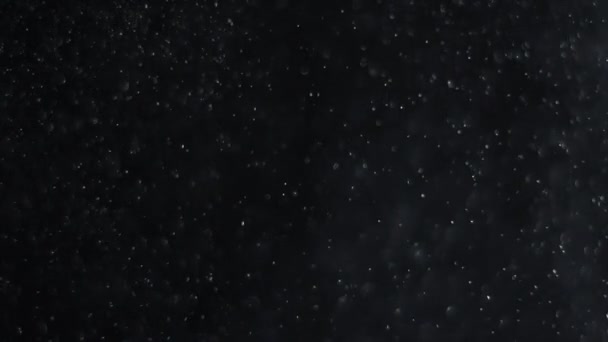 Блискучі Частинки Циклічна Анімація Частинок Боке Чорному Тлі Можете Додати — стокове відео