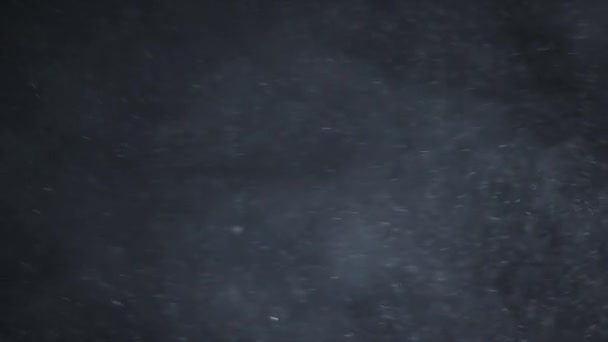 Glitter Particles Bokeh Shinny Particles Loop Animatie Zwarte Achtergrond Kunt — Stockvideo