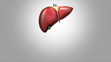 Gri arkaplanda hareket bulanıklığı efektli dünya hepatiti günü hakkında animasyon videosu