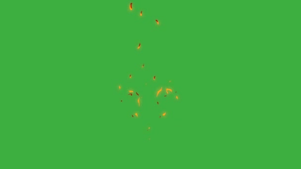 Animationsschleife Video Feuer Element Effekt Auf Grünem Hintergrund — Stockvideo