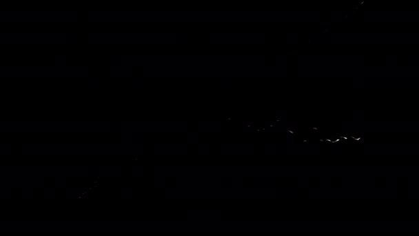 Мультипликационный Эффект Элементов Анимационного Цикла Фоном Альфа Канала — стоковое видео