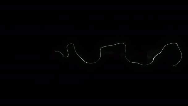 Анімаційна Петля Відео Плазмовий Елемент Мультиплікаційний Ефект Фоном Альфа Каналу — стокове відео