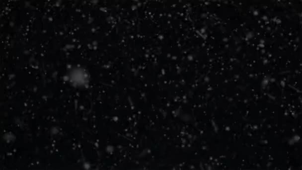 Pokrycie Śniegu Spadający Efekt Śniegu Tłem Kanału Alfa — Wideo stockowe