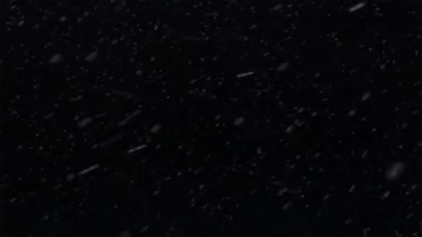 Superposición Nevadas Efecto Nieve Con Fondo Canal Alfa — Vídeo de stock