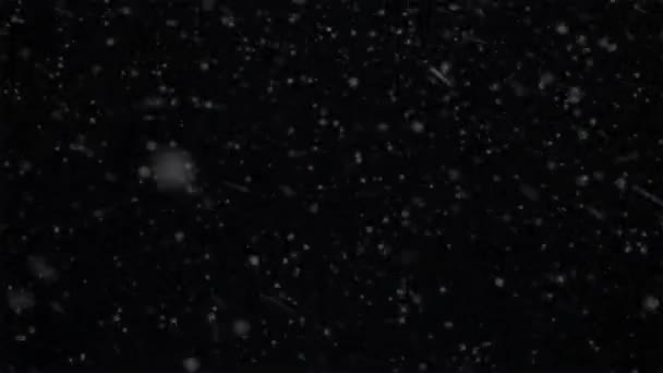 Schneefall Overlay Fallender Schnee Effekt Mit Alphakanal Hintergrund — Stockvideo