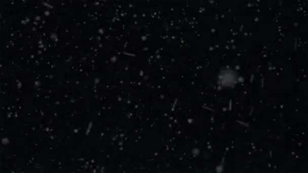 Sneeuwval Overlay Vallende Sneeuw Effect Met Alfa Kanaal Achtergrond — Stockvideo