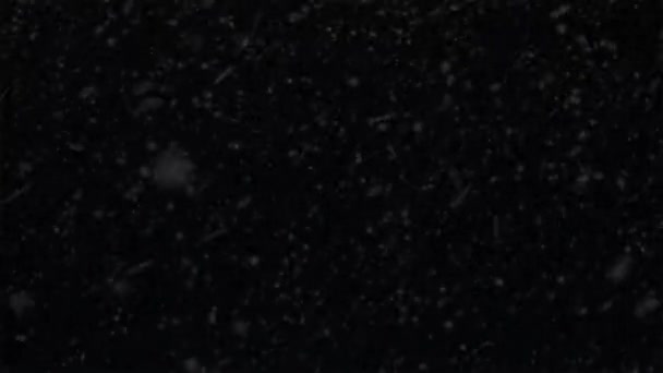 Schneefall Overlay Fallender Schnee Effekt Mit Alphakanal Hintergrund — Stockvideo