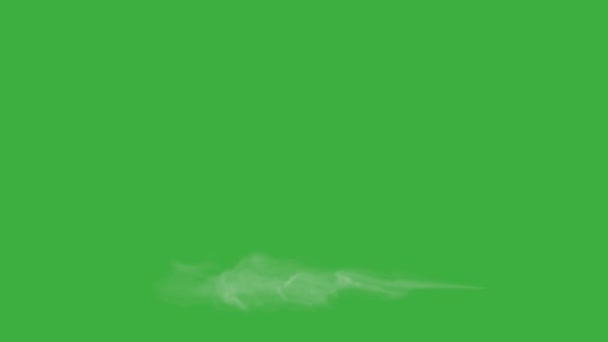 Цикл Анимации Видео Реалистичный Эффект Дыма Элемент Зеленом Фоне Экрана — стоковое видео