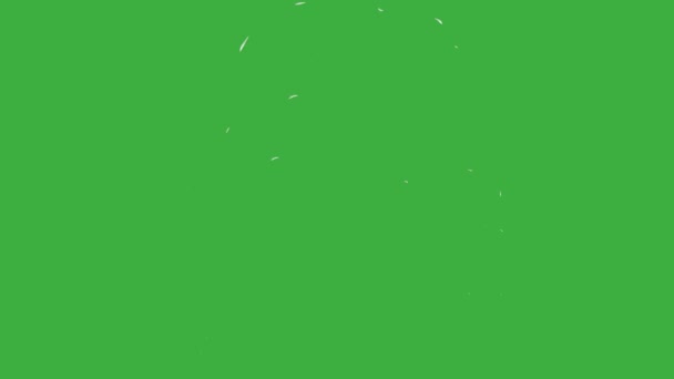 Анімаційна Петля Відео Дим Елемент Мультфільму Вплив Зелений Екран Фону — стокове відео