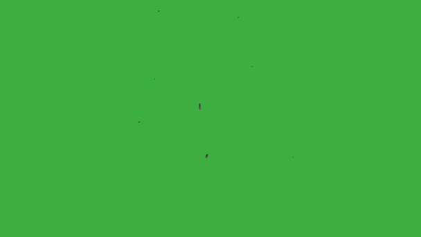 Animation Loop Video Rök Element Tecknad Effekt Grön Skärm Bakgrund — Stockvideo