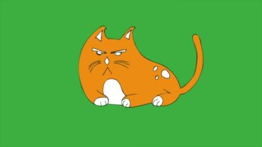 Yeşil ekran arkaplanındaki animasyon döngüsü video karikatür kedisi, yeşil arkaplan kullandığınız şeyi silin