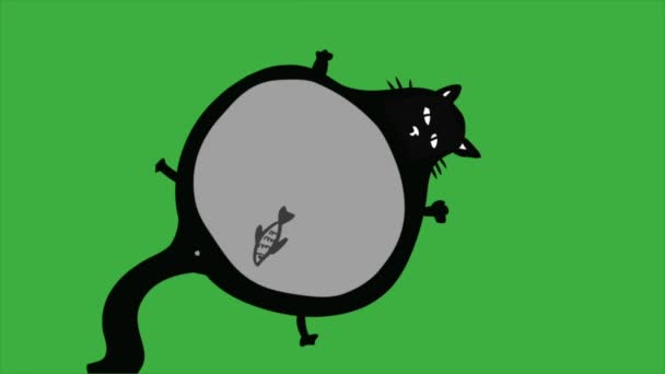 Animasi Loop Video Kartun Kucing Pada Latar Belakang Layar Hijau — Stok Video