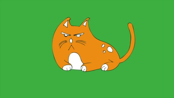 Animation Βρόχο Βίντεο Κινουμένων Σχεδίων Γάτα Πράσινο Φόντο Οθόνη Αφαιρέστε — Αρχείο Βίντεο