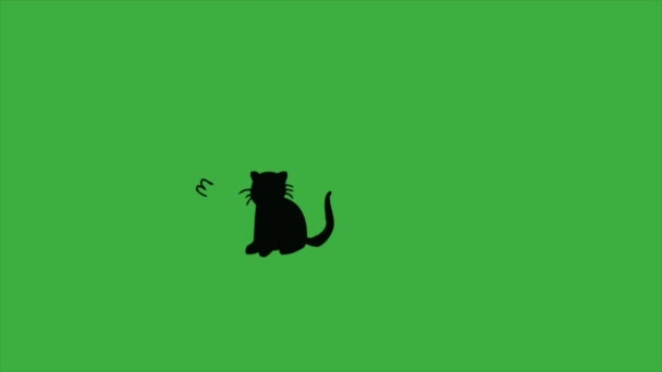 Animation Loop Video Cartoon Cat Green Screen Background Remove Green — Stock Video