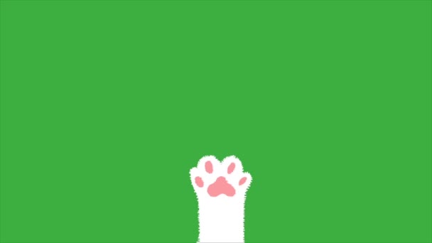 Yeşil Ekran Arkaplanındaki Animasyon Döngüsü Video Karikatür Kedisi Yeşil Arkaplan — Stok video
