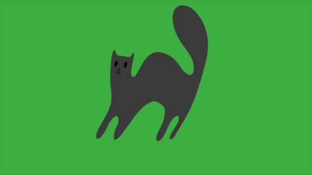Animace Smyčka Video Karikatura Kočka Zeleném Pozadí Obrazovky Odstranit Zelené — Stock video