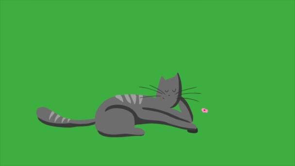 Цикл Анимации Видео Мультяшный Кот Зеленом Фоне Экрана Удалить Зеленый — стоковое видео