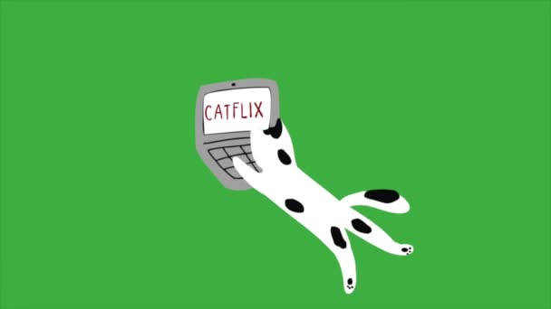 Animation Loop Video Tecknad Katt Grön Skärm Bakgrund Bort Grön — Stockvideo