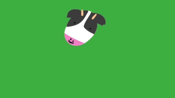 Animación Bucle Vídeo Dibujos Animados Vaca Fondo Pantalla Verde — Vídeos de Stock