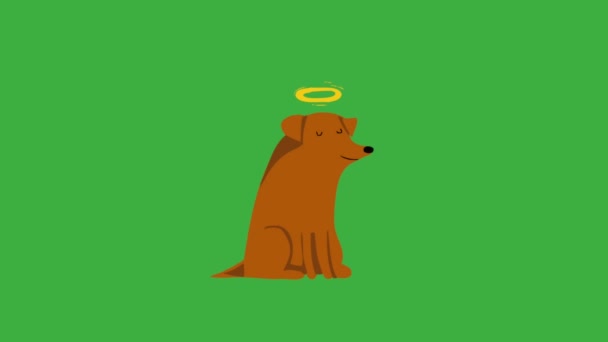 Animação Loop Vídeo Desenho Animado Cão Fundo Tela Verde Remover — Vídeo de Stock