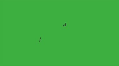 Yeşil ekran arka planında bir video animasyon döngü element efekti patlamasıName 