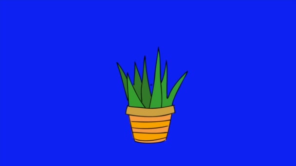 Ένα Βίντεο Animation Βρόχο Ένα Φυτό Ένα Δοχείο Μπλε Φόντο — Αρχείο Βίντεο