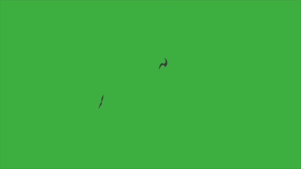 Video Animace Smyčka Element Efekt Karikatura Exploison Zeleném Pozadí Obrazovky — Stock video