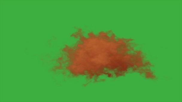Animace Video Skutečný Oheň Vizuální Efekt Prvek Zeleném Pozadí Obrazovky — Stock video