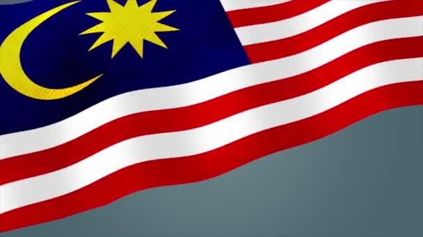 Animációs Videó Malajziai Napról Zászlóval Szöveggel — Stock videók