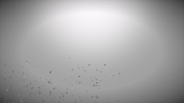 Hareket bulanıklığı efekti ve vignette arkaplanlı uluslararası çeviri günü hakkında animasyon videosu