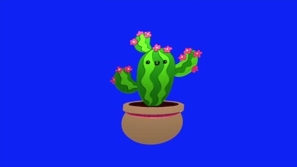 Cactus Dibujos Animados Vídeo Bucle Animación Fondo Pantalla Azul Eliminar — Vídeos de Stock