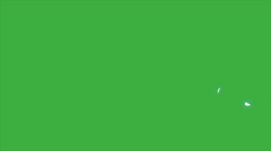 Yeşil ekran arka planında canlandırma plazma ögesi efekti