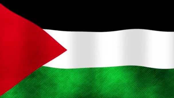 Animacja Wideo Poruszającej Się Flagi Palestyńskiej — Wideo stockowe
